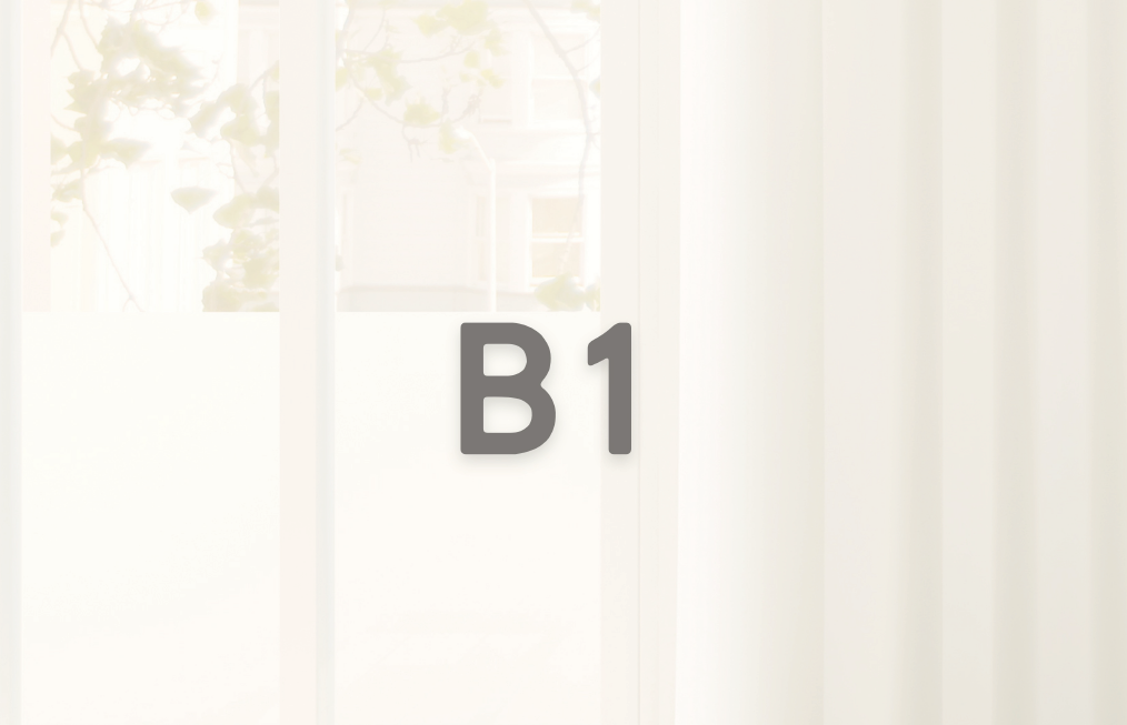 B1 30堂 多益整骨進階班